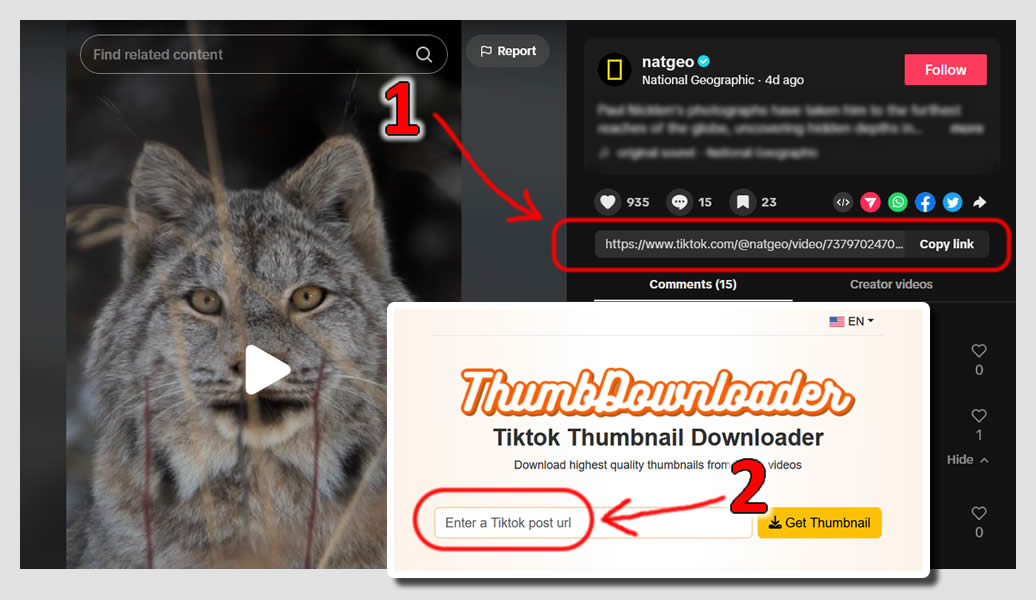 Tutorial download thumbnail Tiktok untuk pc