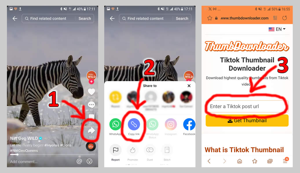 Demonstrasi singkat untuk mendownload thumbnail dari aplikasi Tiktok